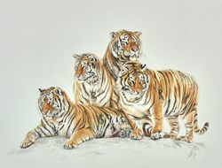 Designer Family Study Sketch by Hayley Goodhead - Original Drawing on Mounted Paper sized 15x12 inches. Available from Whitewall Galleries