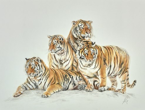 Designer Family Study Sketch by Hayley Goodhead - Original Drawing on Mounted Paper